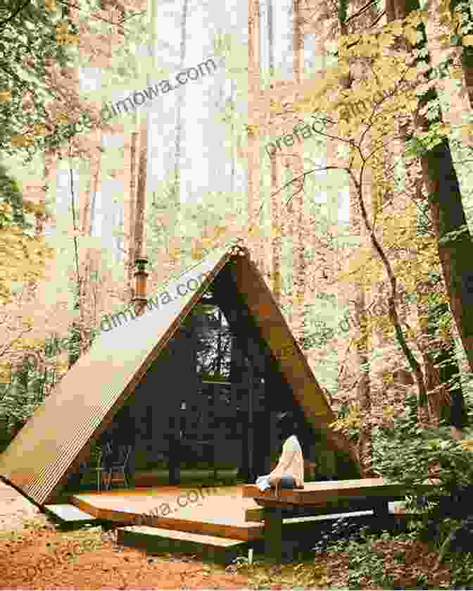 A Cozy Cabin Nestled Amidst The Trees At Night Moraine State Park (Images Of Modern America)