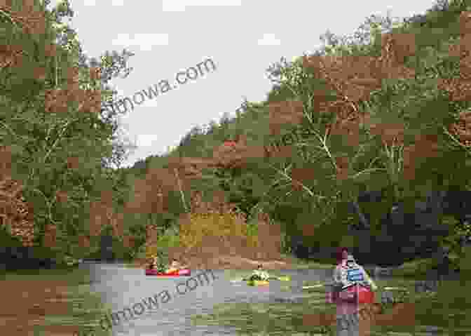 A Kayaker Paddling Through A Scenic Ozark River A Canoeing And Kayaking Guide To The Ozarks (Canoe And Kayak Series)