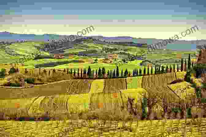 A Panoramic View Of The Rolling Hills And Vineyards Of Tuscany, Italy August In Paris: And Other Travel Misadventures