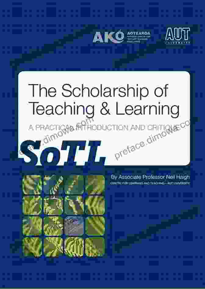 Career Development The Scholarship Of Teaching And Learning: A Guide For Scientists Engineers And Mathematicians