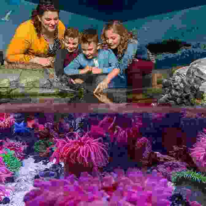 Children Exploring A Touch Tank At An Aquarium Atlas Of The Deep Water Seabed: Ireland