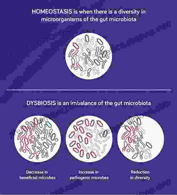 Diagram Illustrating Dysbiosis In The Microbiome Furtive Fauna: A Field Guide To The Creatures Who Live On You