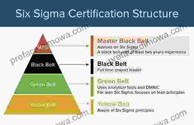 The ASQ CQSQ Study Guide: Your Path To Certified Quality Six Sigma Practitioner The ASQ CSQP Study Guide