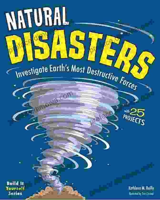 Too Many Troubles: 3rd Grade Disaster Book Cover Too Many Troubles A 3rd Grade Disaster: (A Chapter For Ages 6 9) (The Quantum Coloring Book)