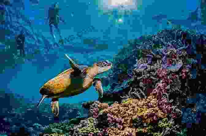 Underwater Explorations At The Great Barrier Reef Adventures Around Cincinnati: A Parent S Guide To Unique And Memorable Places To Explore With Your Kids