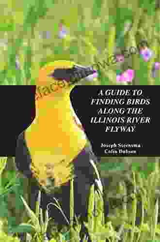 A Guide To Finding Birds Along The Illinois River Flyway