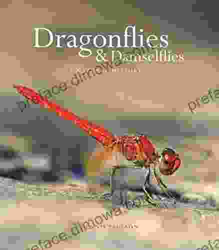 Dragonflies and Damselflies: A Natural History