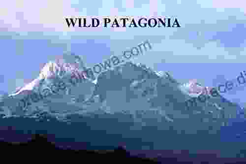 Wild Patagonia Derek Miller