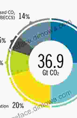 Energy Transitions and the Future of Gas in the EU: Subsidise or Decarbonise (Energy Climate and the Environment)