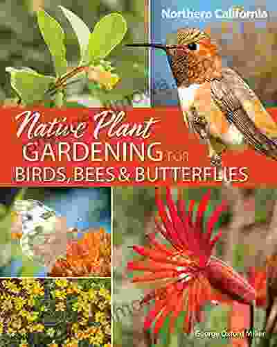 Native Plant Gardening For Birds Bees Butterflies: Northern California (Nature Friendly Gardens)