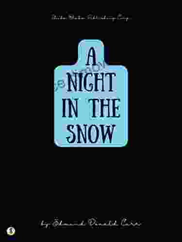 A Night In The Snow