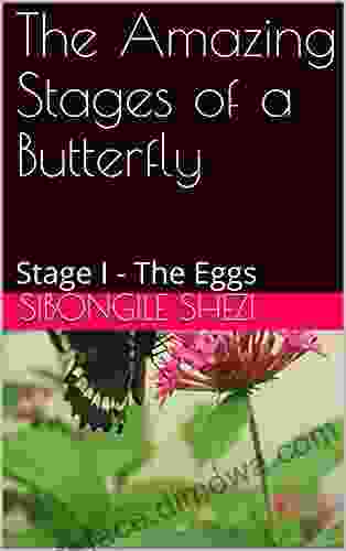 The Amazing Stages Of A Butterfly: Stage I The Eggs