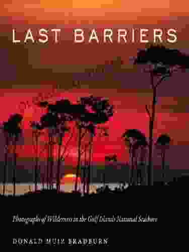 Last Barriers: Photographs Of Wilderness In The Gulf Islands National Seashore