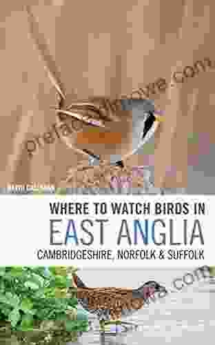 Where To Watch Birds In East Anglia: Cambridgeshire Norfolk And Suffolk